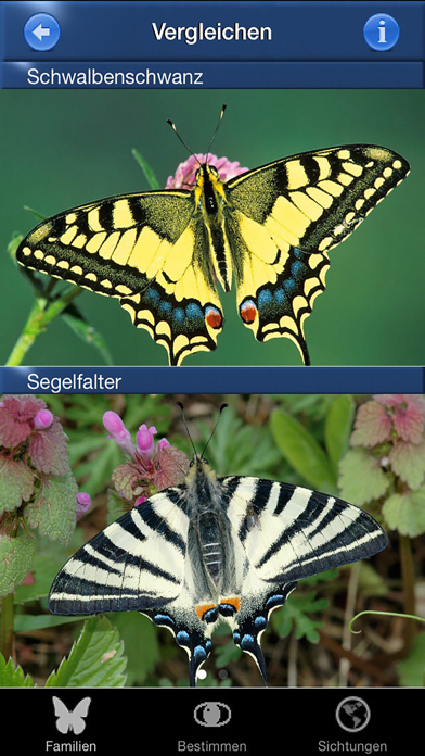 How to cancel & delete Schmetterling Id - Tagfalter from iphone & ipad 2