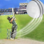 Cricket Puzzle Arcade Game