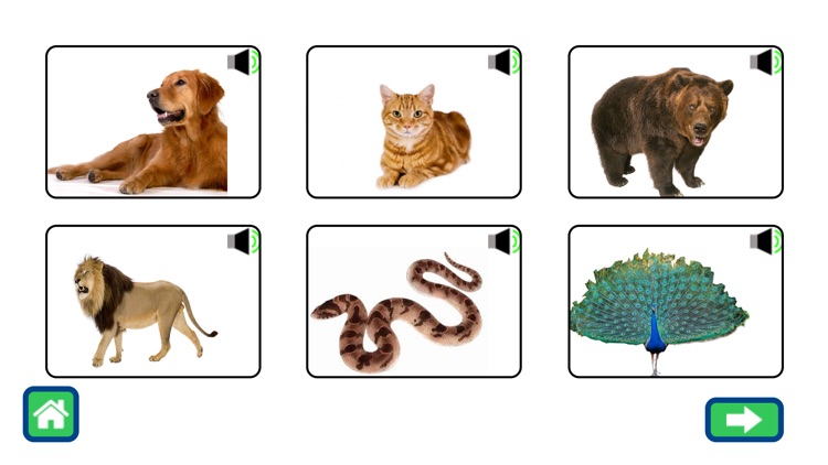 iApple Beginners knowledge screenshot-4