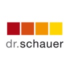 Dr.Schauer beraten und steuern