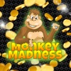 Wild Jungle: Monkey Madness