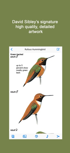 Sibley Guide to Hummingbirds(圖2)-速報App