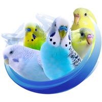 Alen AxP Budgie Community pour PC