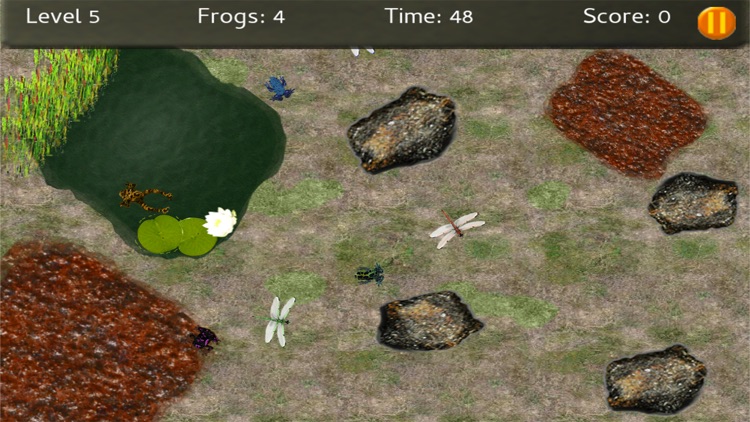 Baby Frogs screenshot-3