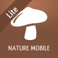  Champignons LITE Application Similaire