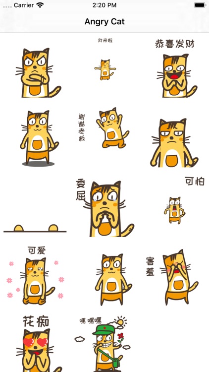 AngryCat2