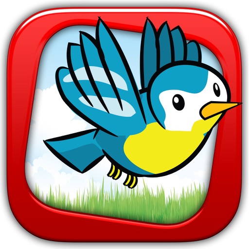 Bird Eggs.. iOS App