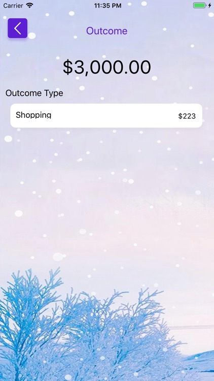 Private ledger screenshot-3