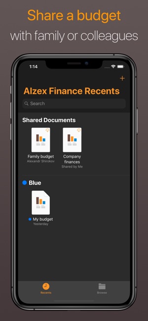 Alzex Finance - Family budget