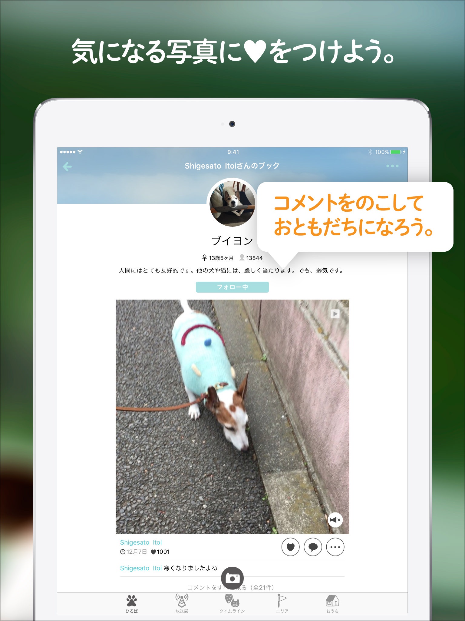 Dokonoko - Dogs&Cats Photo App screenshot 2