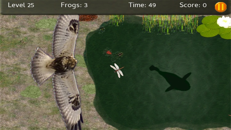 Baby Frogs screenshot-8