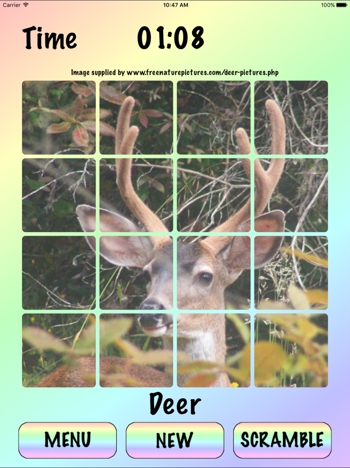 4x4 - Sliding Square Puzzle