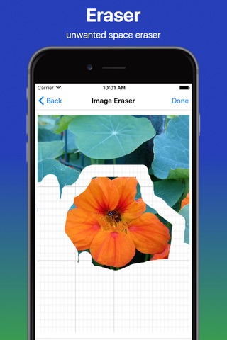 Background Image Eraser  Frame - náhled