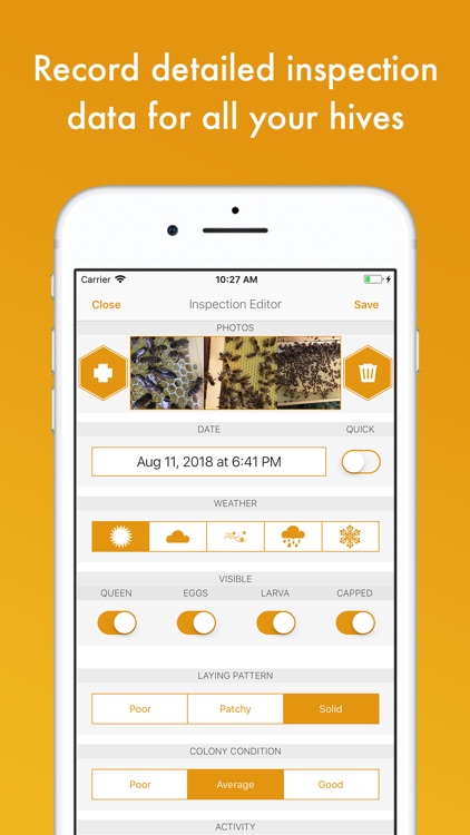 BeePlus Beekeeping Manager