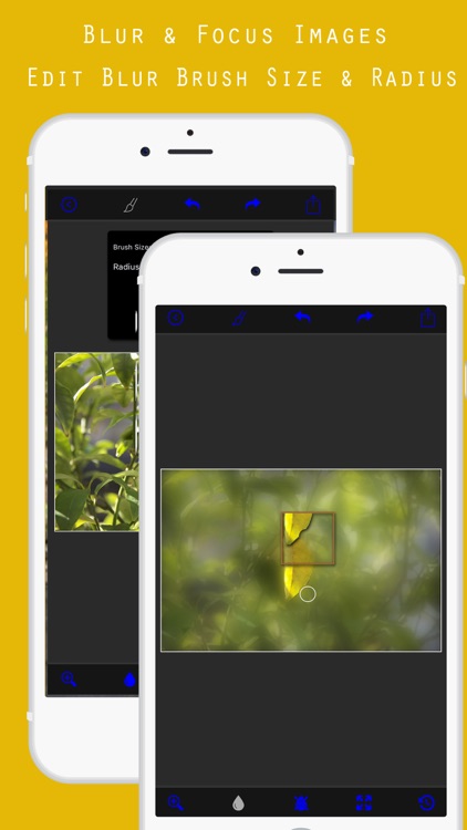 Blur Background Photo Editor