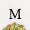 The Magnolia app delivers the best of magnolia