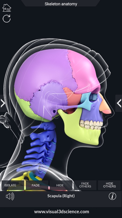 My Skeleton Anatomy screenshot-6