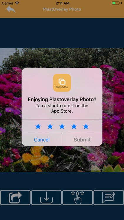 PlastOverlay Photo screenshot-9