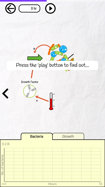 Bacteria Sandwich