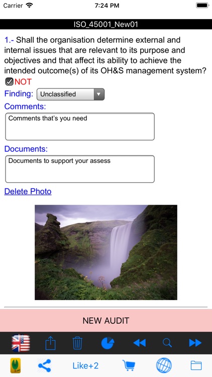 Easy ISO and OHSAS Audits screenshot-8