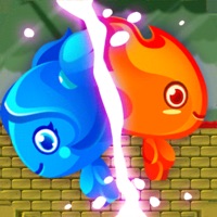 森林冰火人：公主与王子 pour PC
