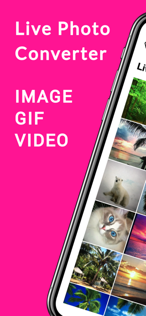 Live Photo Converter *