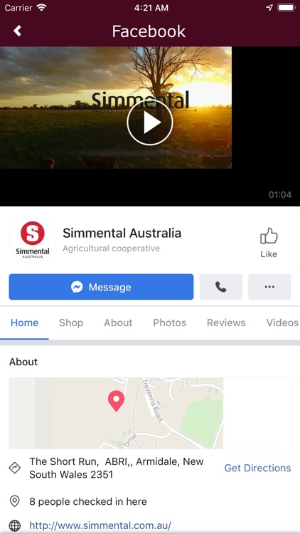 Simmental Australia