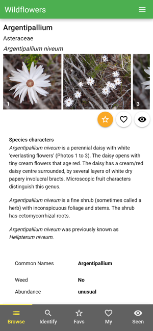 Wildflowers of WA(圖3)-速報App