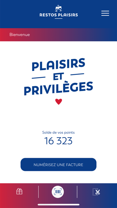 Plaisirs et Privilèges screenshot 2