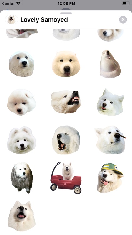 Lovely Samoyed Sticker Pack screenshot-3
