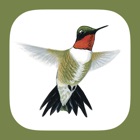 Top 26 Reference Apps Like Sibley Guide to Hummingbirds - Best Alternatives