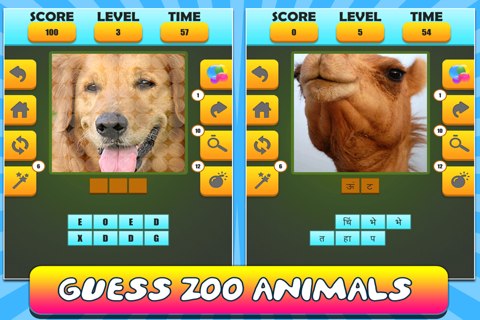 Animal Word Puzzle : Guess It screenshot 2