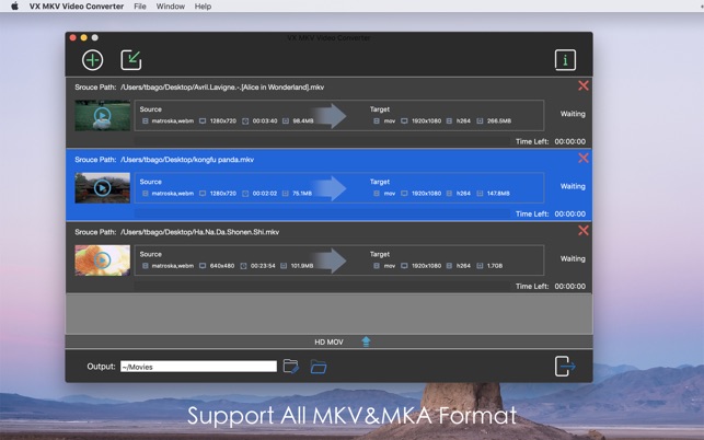 VX MKV Video Converter