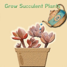 Activities of Grow Plant