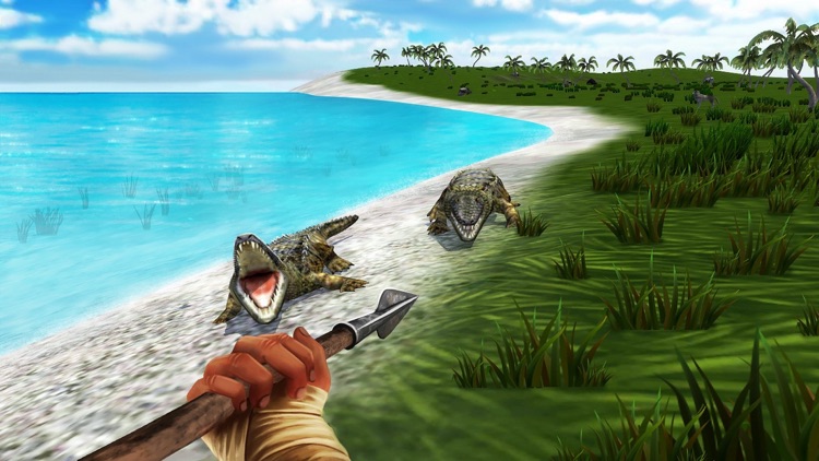 The Survival 2 Island Game