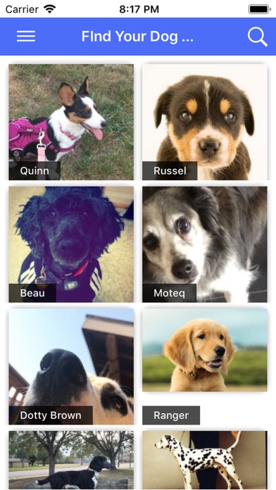 Doggy Dating Agency screenshot 3