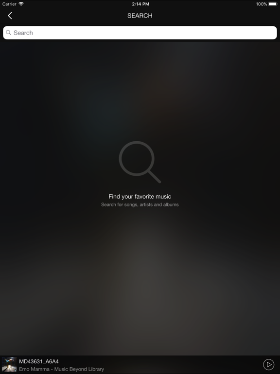 Screenshot #4 pour Amn Player