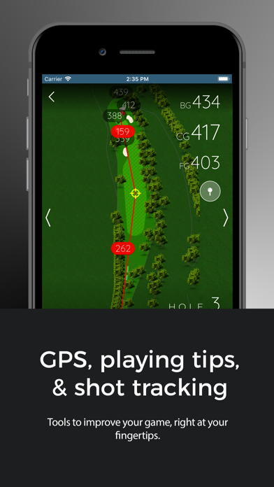 Kaanapali Golf Courses screenshot 3