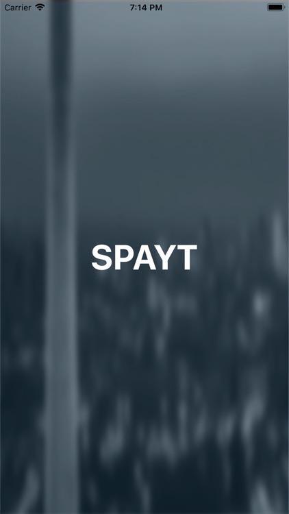 Spayt Business