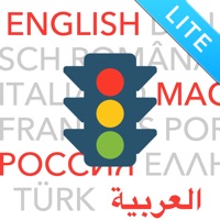 Führerschein 2025 LITE pour PC