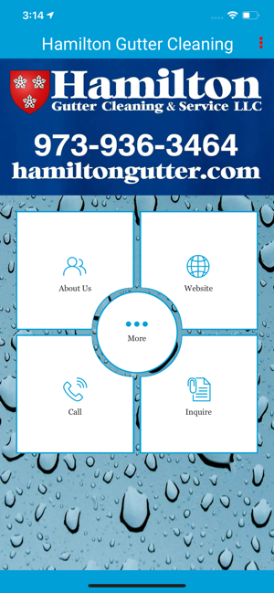 Hamilton Gutter Cleaning