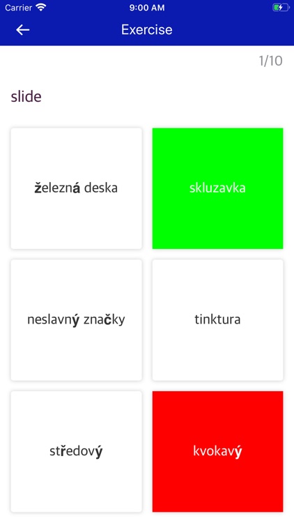 Czech Portuguese Dictionary screenshot-3