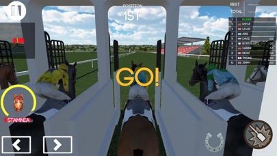 Horse Racer screenshot 3