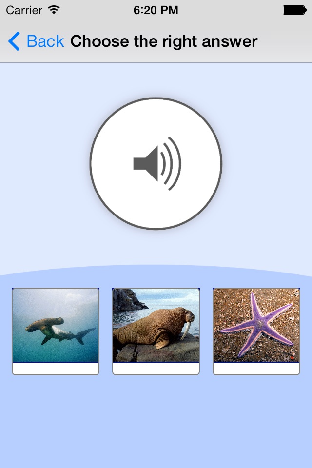 Sea Animals. Learning Cards screenshot 2