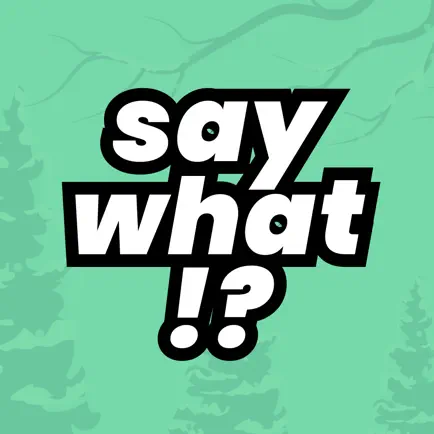 say what!? - gossip & friends Читы