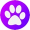 DogsCare is a matchmaking service for pet parents who wishes to find professionals pet sitters to look after their pets when life gets too busy