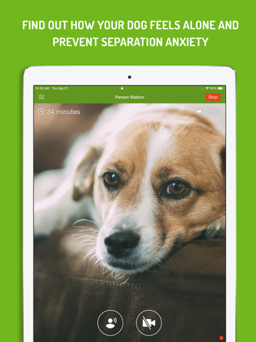 Dog Monitor screenshot 3