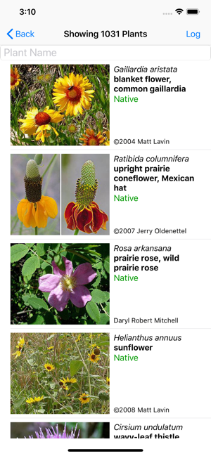 Wildflowers of Montana(圖2)-速報App