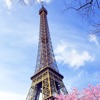 Paris visitors' tips