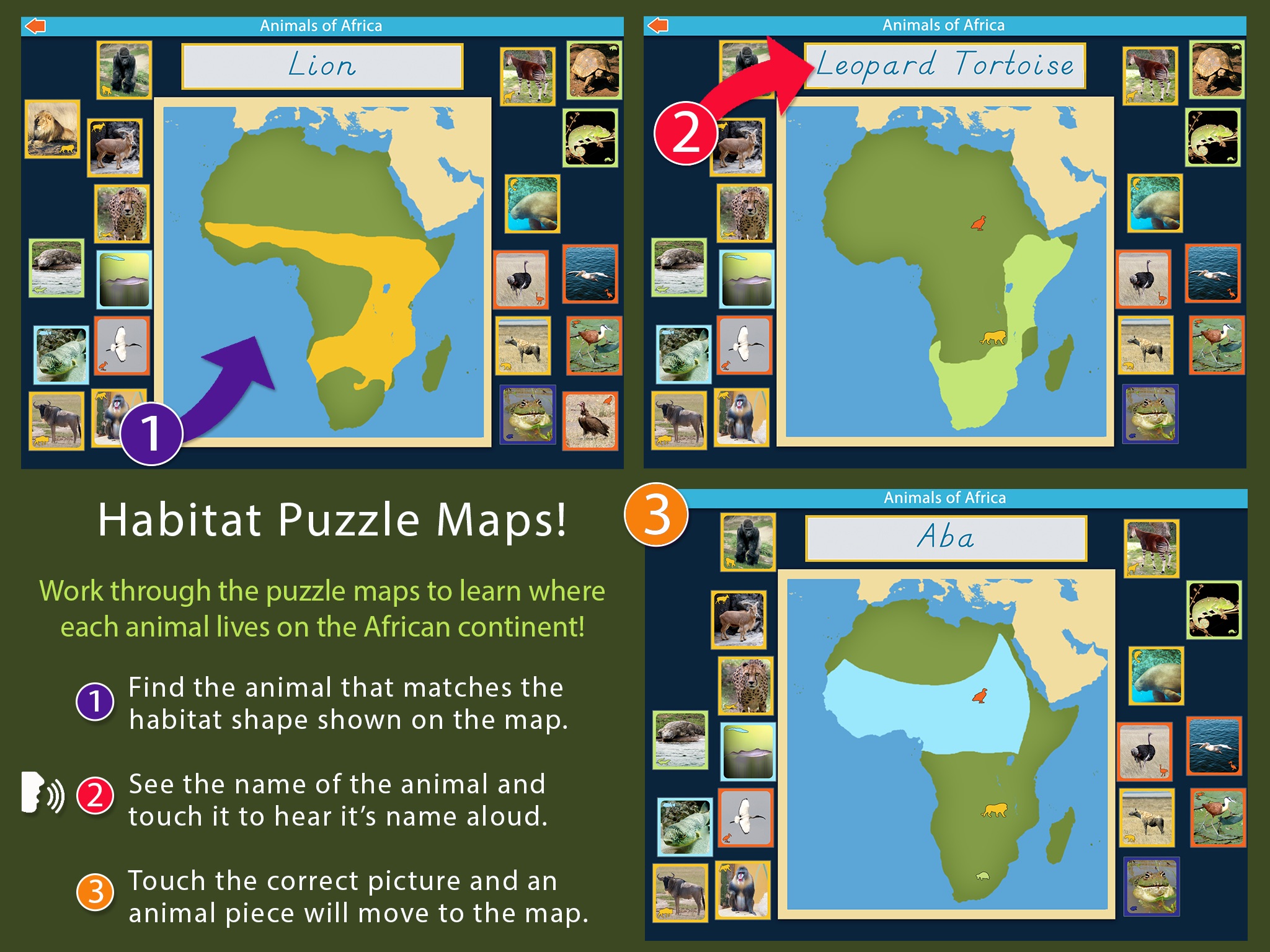 Montessori Animals of Africa screenshot 3